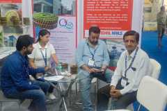 Coil-Nails-Manufacturer-Gurgoan-2